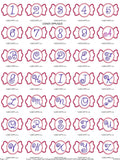 Cd of 10 Machine Applique Fonts (10 SETS) script,swirl,childlike fonts